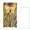 Yellow Butterfly by Anonymous