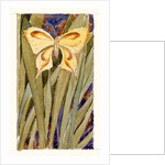 Yellow Butterfly by Anonymous