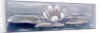 Waterlily by Charles Robert Ashbee