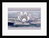 Waterlily by Charles Robert Ashbee
