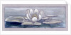 Waterlily by Charles Robert Ashbee