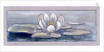 Waterlily by Charles Robert Ashbee