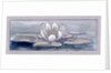 Waterlily by Charles Robert Ashbee