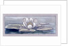 Waterlily by Charles Robert Ashbee