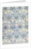 Daisy wallpaper by William Morris