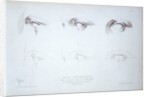 Cours Préparatoire, depicting images of eyes by Anonymous