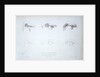 Cours Préparatoire, depicting images of eyes by Anonymous