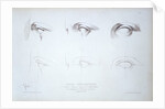 Cours Préparatoire, depicting images of eyes by Anonymous