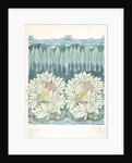 Birds in Bushes and Landscape textile design by Charles Francis Annesley Voysey