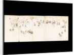 Soldiers and dignitaries pertaining to the Battle of Waterloo by Anonymous