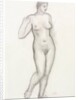 Standing nude by Aristide Maillol