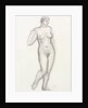 Standing nude by Aristide Maillol