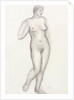 Standing nude by Aristide Maillol