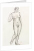Standing nude by Aristide Maillol