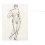 Standing nude by Aristide Maillol