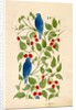 Blue Birds on Berry Bushes, design for textile by C.F.A.Voysey
