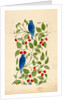 Blue Birds on Berry Bushes, design for textile by C.F.A.Voysey