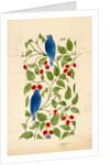 Blue Birds on Berry Bushes, design for textile by C.F.A.Voysey