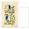 Blue Birds on Berry Bushes, design for textile by C.F.A.Voysey