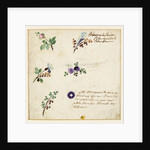 Design for embroidery on men's waistcoats by Jean Pillement