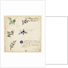 Design for embroidery on men's waistcoats by Jean Pillement