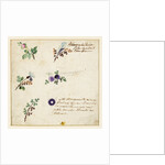 Design for embroidery on men's waistcoats by Jean Pillement