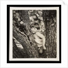 Young boy sitting in tree by Curtis Moffat