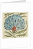 Design of tile by William de Morgan