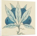Design of tile by William de Morgan