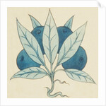 Design of tile by William de Morgan