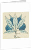 Design of tile by William de Morgan