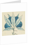 Design of tile by William de Morgan