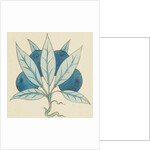 Design of tile by William de Morgan