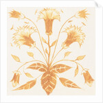 Design of tile by William de Morgan