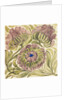 Design of tile by William de Morgan
