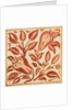 Design of tile by William de Morgan