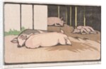 The Sleeping Pigs by Arabella Louisa Rankin