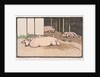 The Sleeping Pigs by Arabella Louisa Rankin