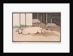 The Sleeping Pigs by Arabella Louisa Rankin