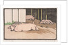 The Sleeping Pigs by Arabella Louisa Rankin