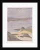 Martyr's Bay, Iona by Arabella Louisa Rankin
