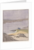 Martyr's Bay, Iona by Arabella Louisa Rankin