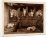 Captain Oates, expedition team member, with ponies and dogs by Herbert George Ponting