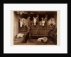 Captain Oates, expedition team member, with ponies and dogs by Herbert George Ponting