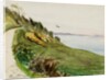 Coastal path with lone bird in flight by May Morris