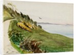 Coastal path with lone bird in flight by May Morris