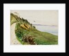 Coastal path with lone bird in flight by May Morris
