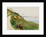 Coastal path with lone bird in flight by May Morris