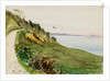 Coastal path with lone bird in flight by May Morris