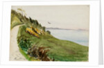 Coastal path with lone bird in flight by May Morris
